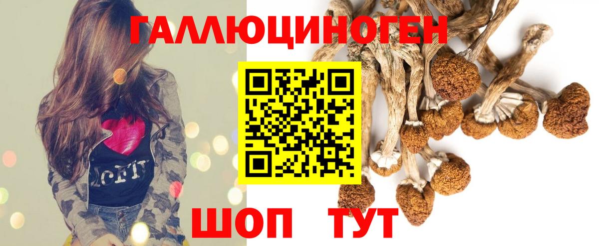 Псилоцибиновые грибы GOLDEN TEACHER Владикавказ